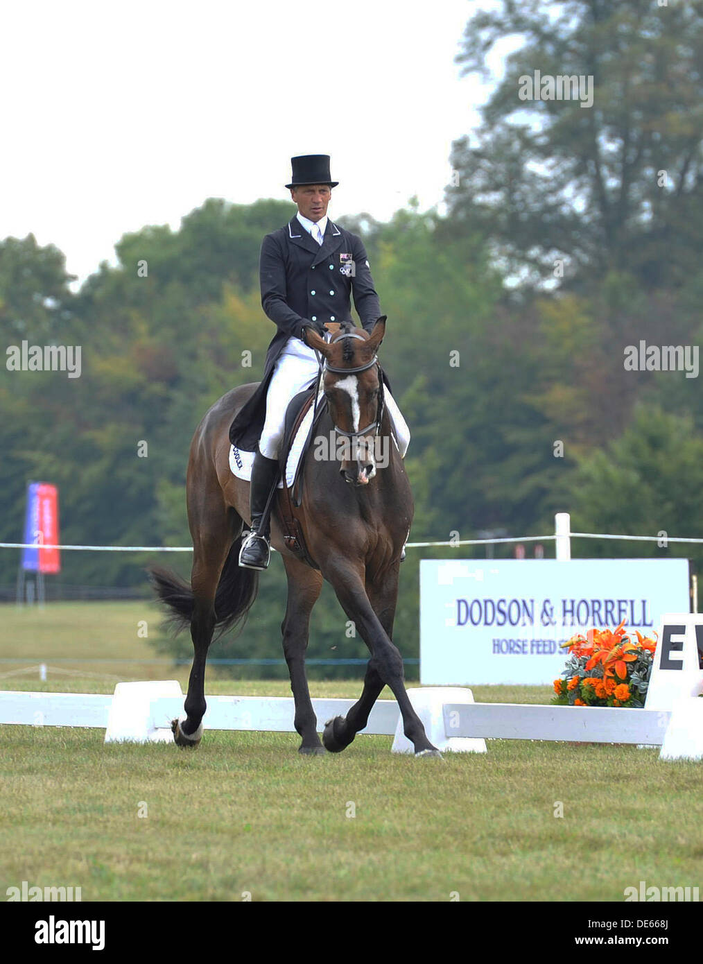 Il Palazzo di Blenheim Horse Trials, Woodstock, Oxford, UK. 12 settembre 2013. Andrew Nicolson (NZL) riding Zaron durante il CIC*** Dressage fase. Credito: Julie Badrick/Alamy Live News Foto Stock