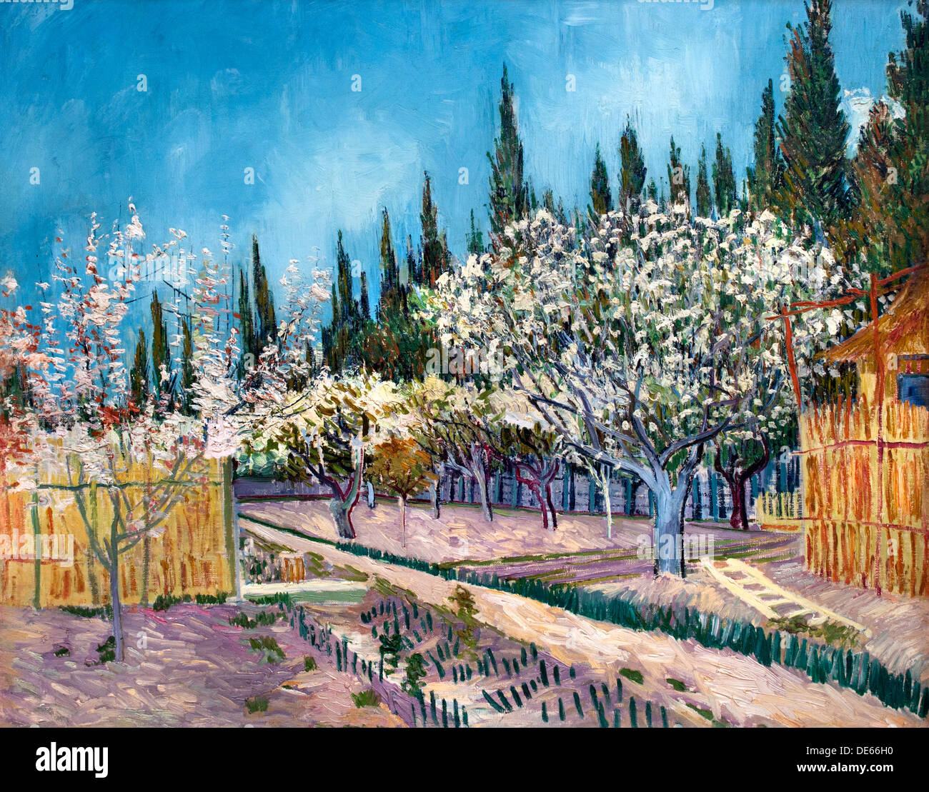 Orchard delimitata da cipressi Arles 1888 Vincent van Gogh 1853 - 1890 Paesi Bassi Paesi Bassi Foto Stock