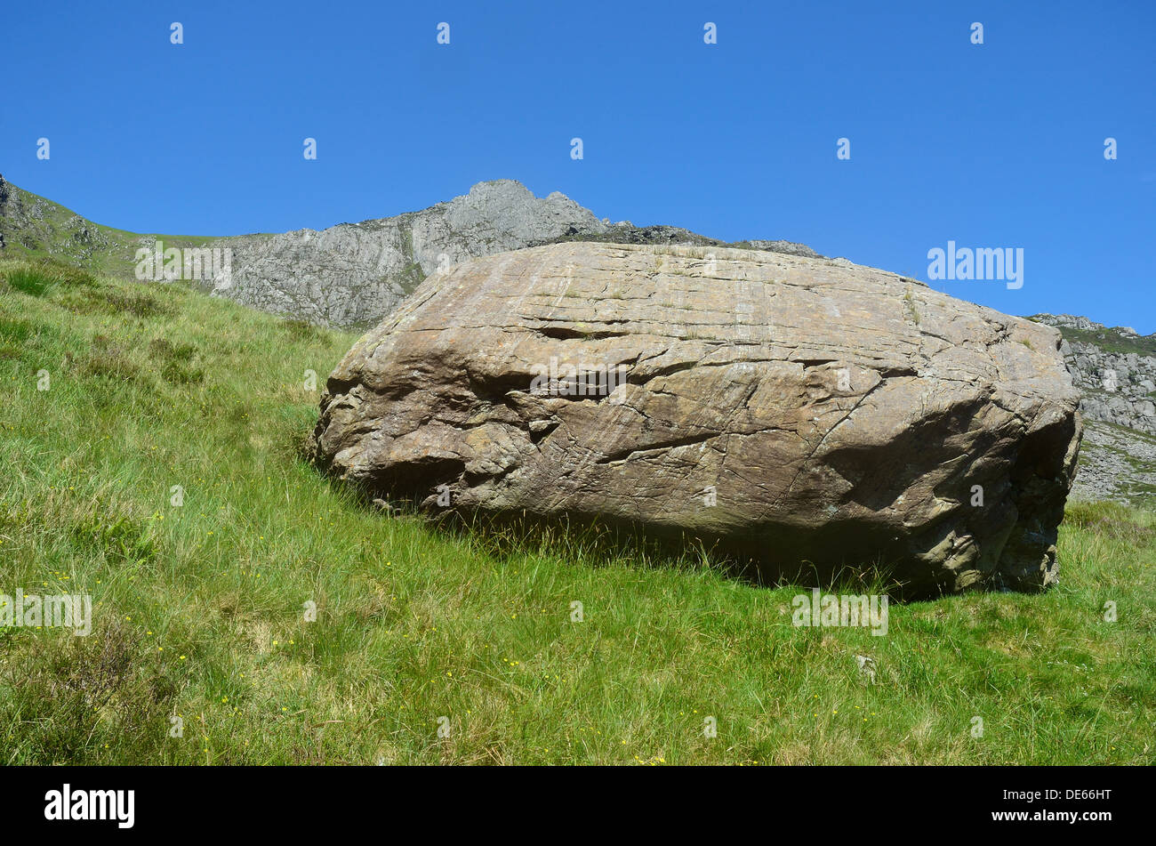 Roccia su un pendio erboso Foto Stock