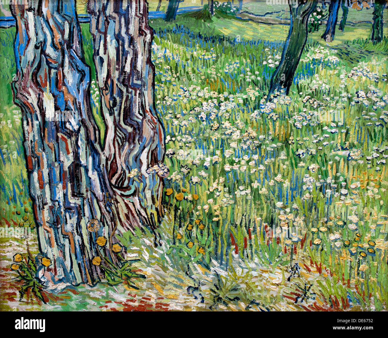 Tronchi di alberi in erba 1890 Saint Remy Vincent van Gogh 1853 - 1890 Paesi Bassi Paesi Bassi Foto Stock