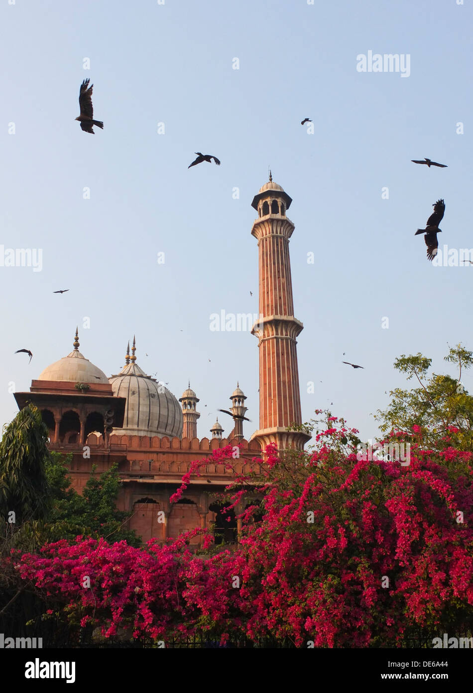 India, Uttar Pradesh, Vecchia Delhi, Jamu moschea Masjid Foto Stock