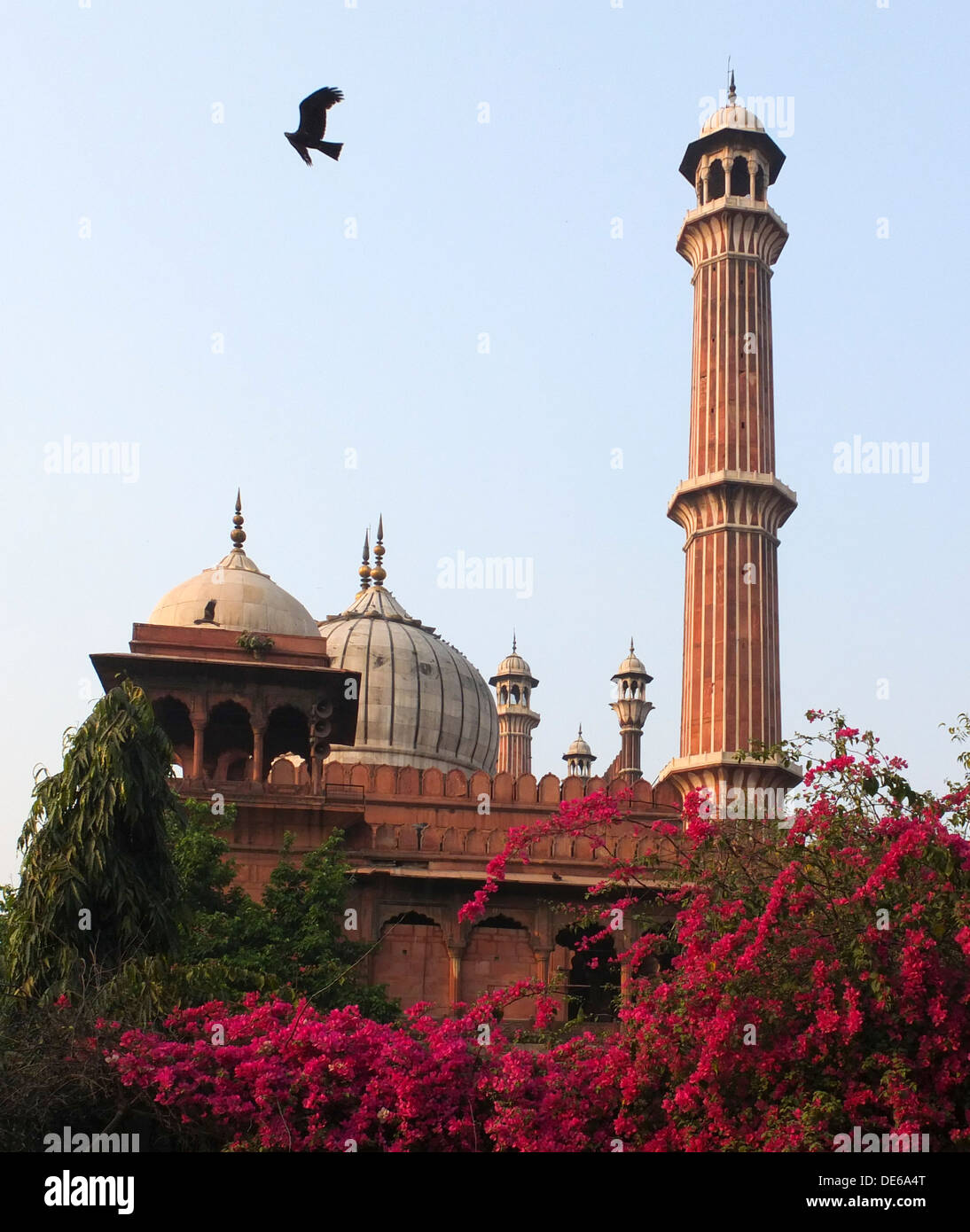 India, Uttar Pradesh, Vecchia Delhi, Jamu moschea Masjid Foto Stock