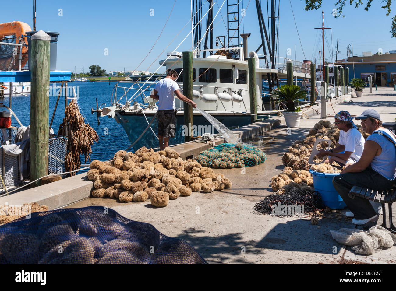 Spugna di smistamento dei pescatori e insacco catture nel dock sul Dodecaneso Blvd. in Tarpon Springs, in Florida Foto Stock