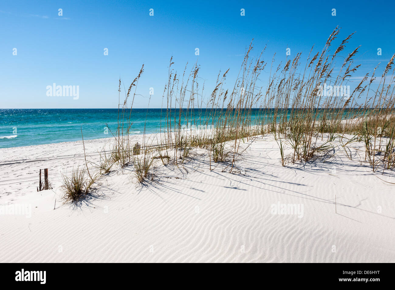 Controllo di Erosione di recinzioni e di erba di mare proteggere le spiagge di sabbia bianca di Gulf Breeze, Florida Foto Stock