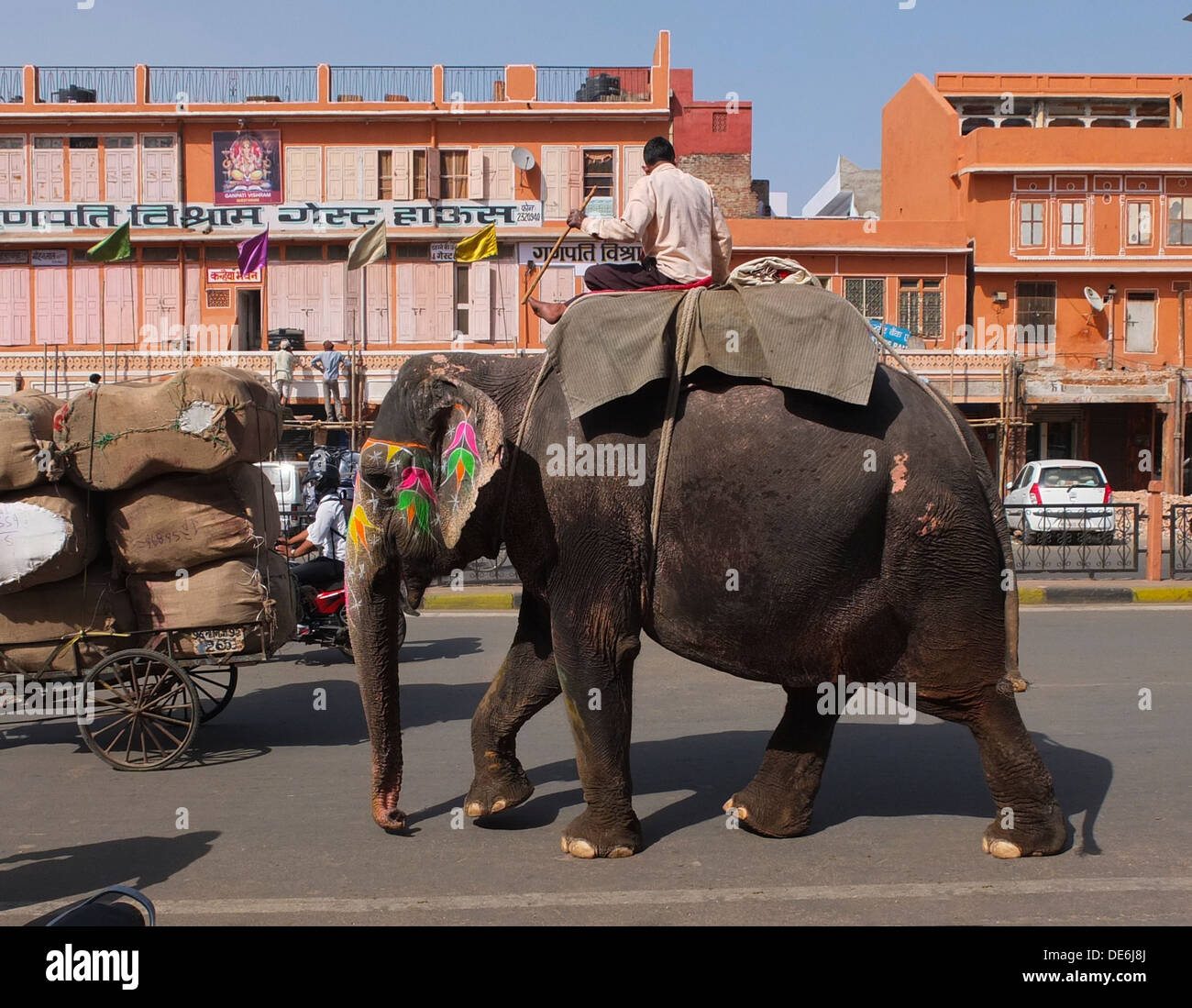 India Rajasthan, Jaipur, elefante in strada Foto Stock