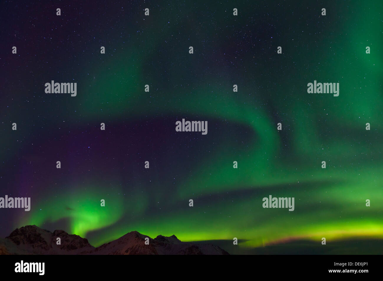 Luci del Nord / Aurora boreale, spettacolare fenomeno meteorologico che mostra la luce naturale display nel cielo di notte, Scandinavia Foto Stock