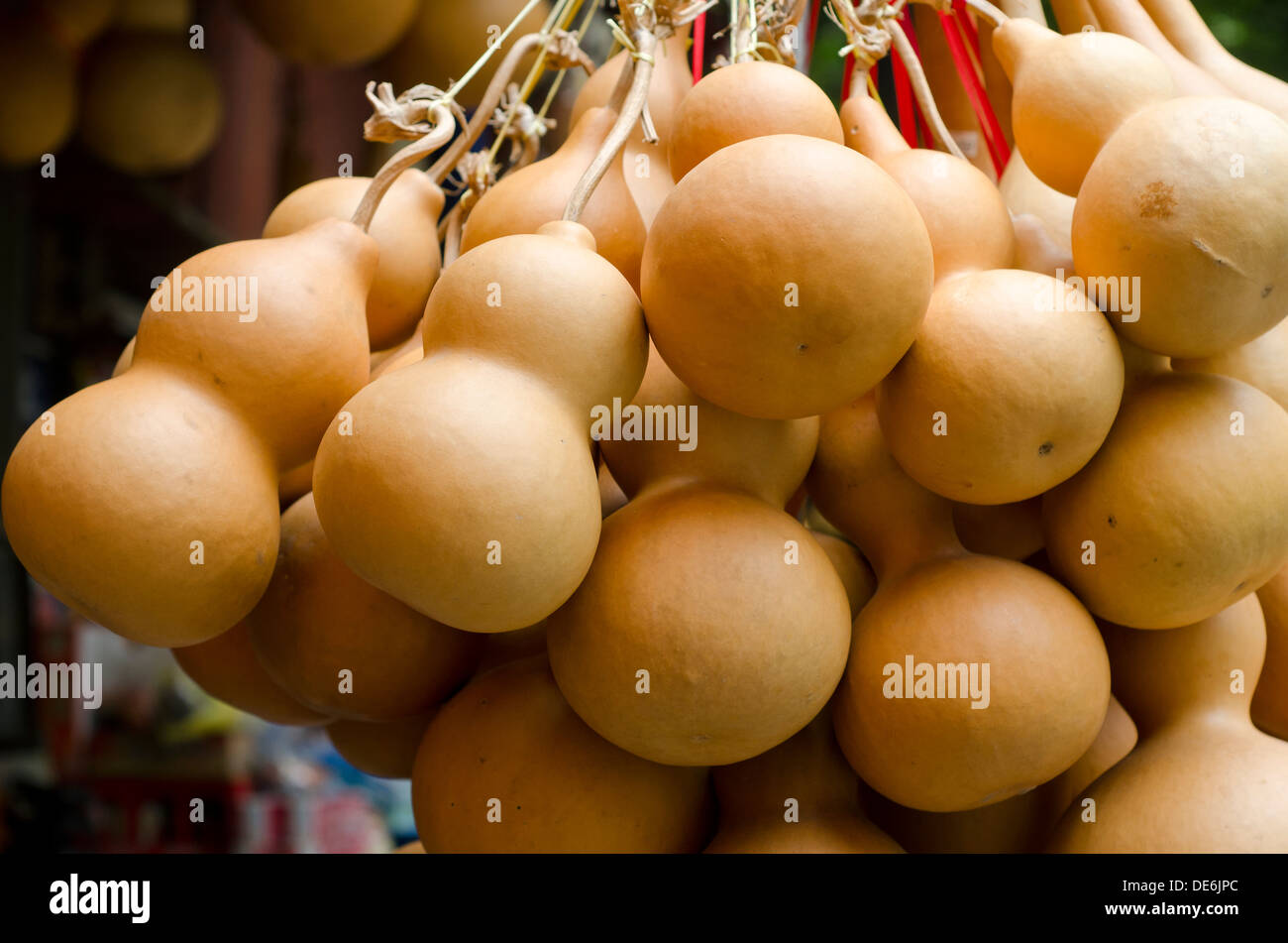 Gourd secco (zucca) in vendita , mercato Guangzhou ,Cina Foto Stock