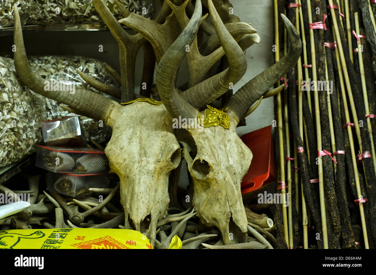 Medicina Qingping Mercato - Guangzhou , Cina Foto Stock