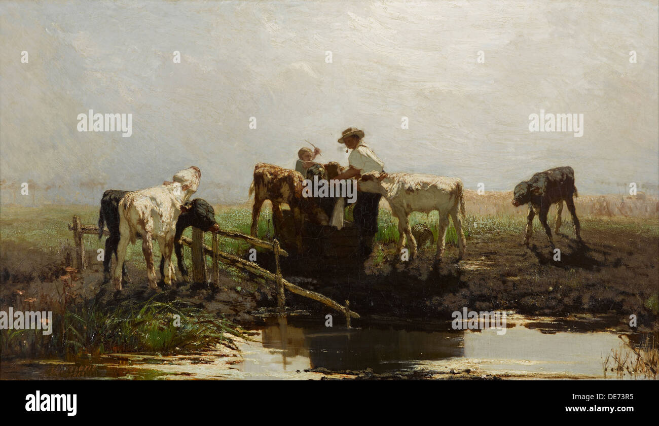 I vitelli in un trogolo. Artista: Maris, Willem (1844-1910) Foto Stock