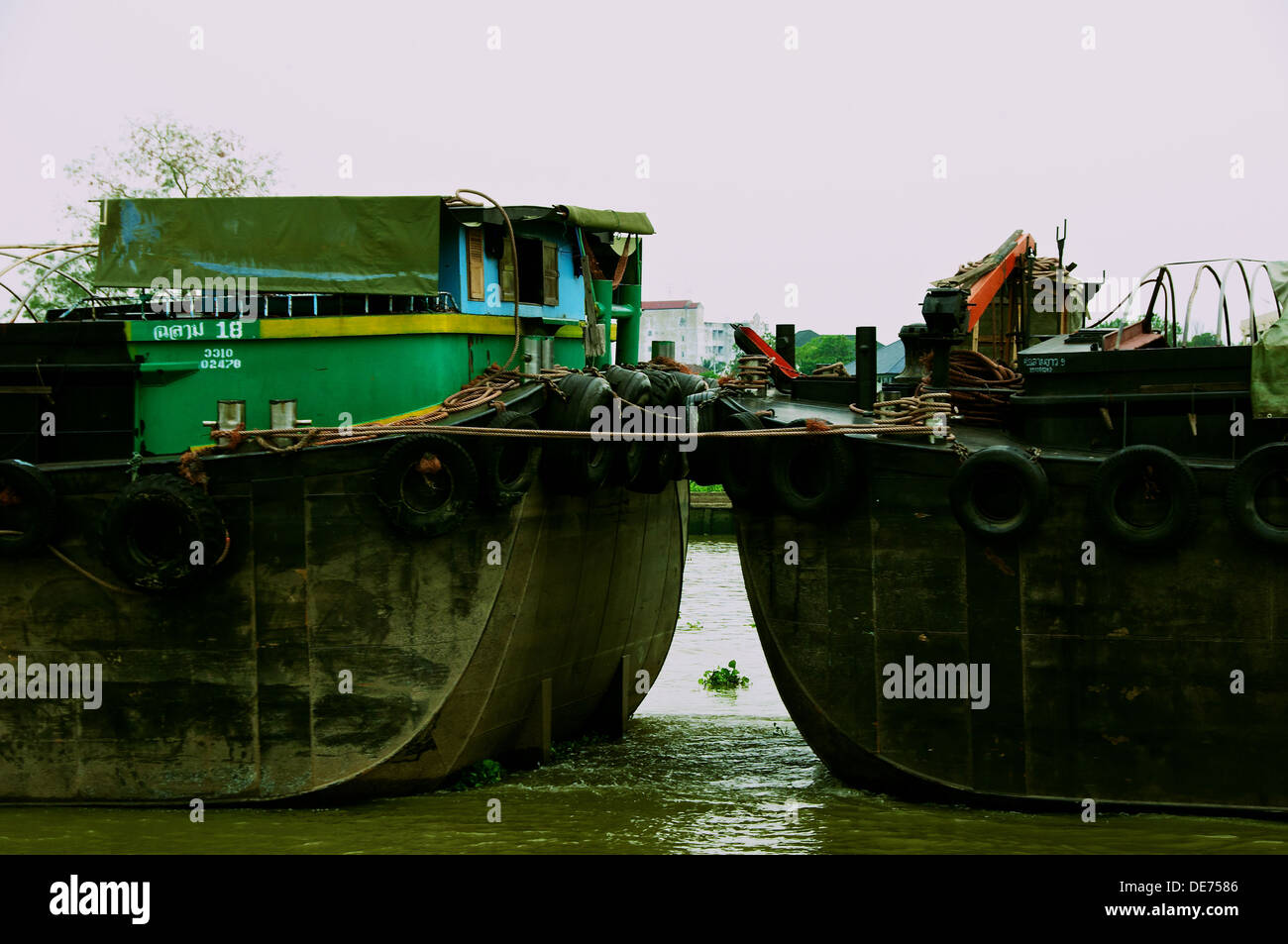 Il fiume Mekong Inclus. Foto Stock