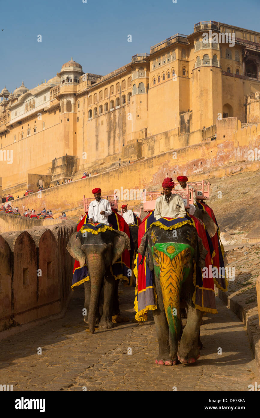 India Rajasthan, Jaipur, gli elefanti al Forte Amber Foto Stock