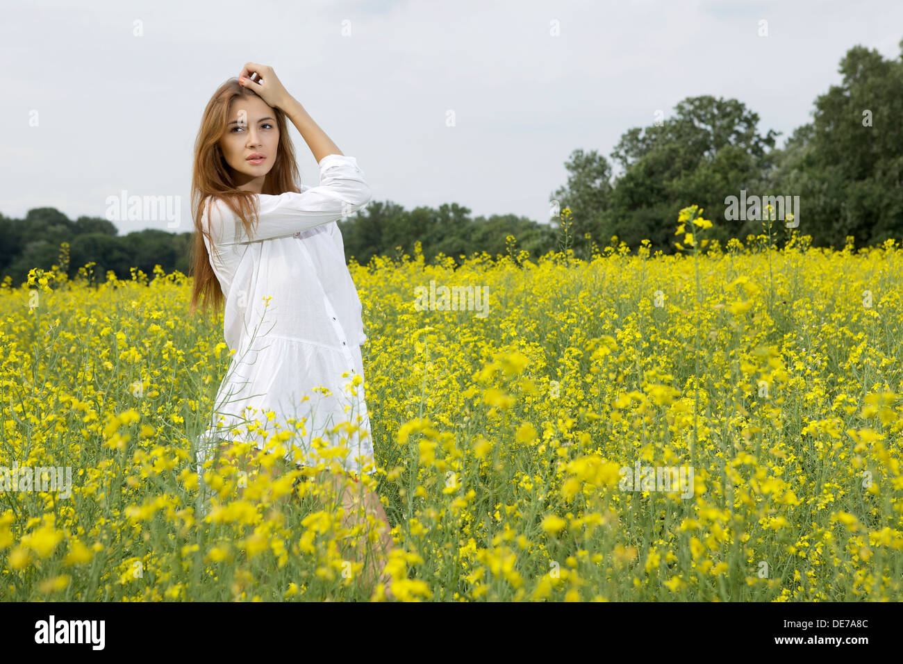 Bella e sensualità brunette donna in un giallo Campo dei Fiori Foto Stock