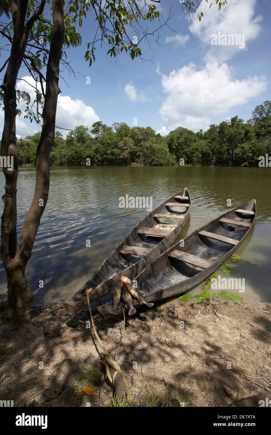 Scavati canoe su una lanca off il fiume Rewa, Rupununi, Guyana, Sud America Foto Stock
