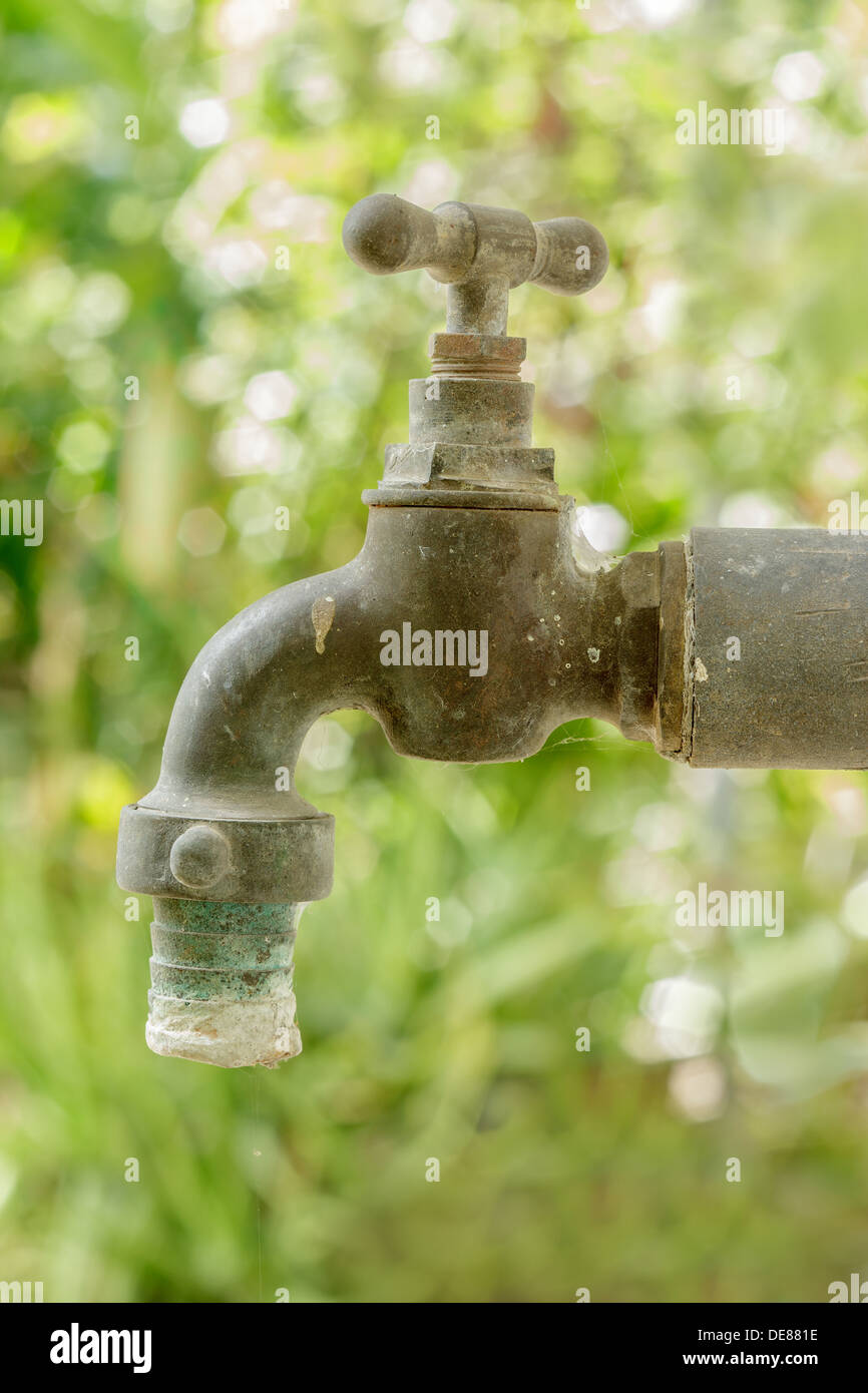 Vecchio arrugginito rubinetto di acqua in giardino Foto stock - Alamy