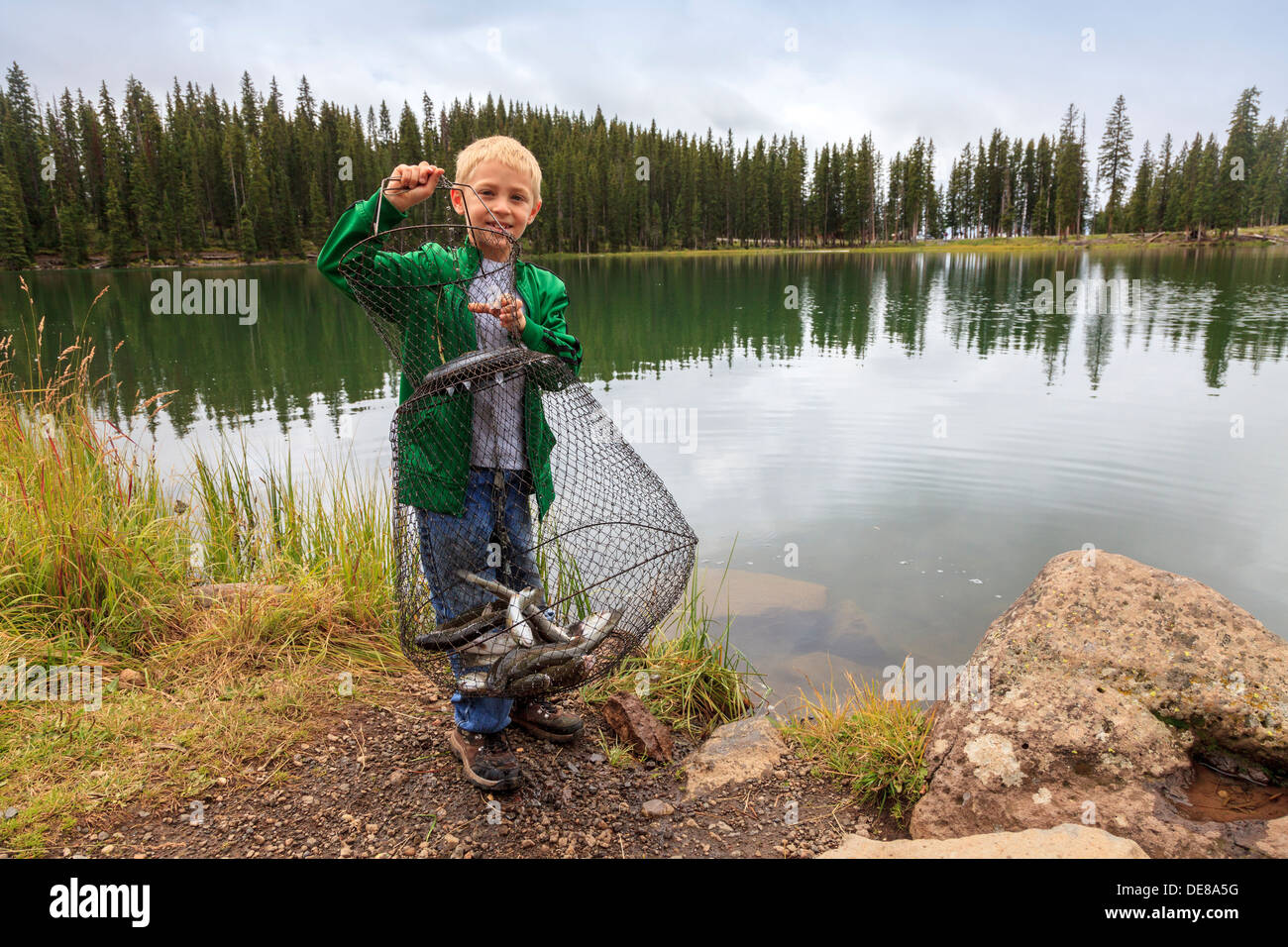 Ragazzo giovane mostrare le trote che ha pescato nel Lago Eggleston, Grand Mesa National Forest, Colorado, STATI UNITI D'AMERICA Foto Stock