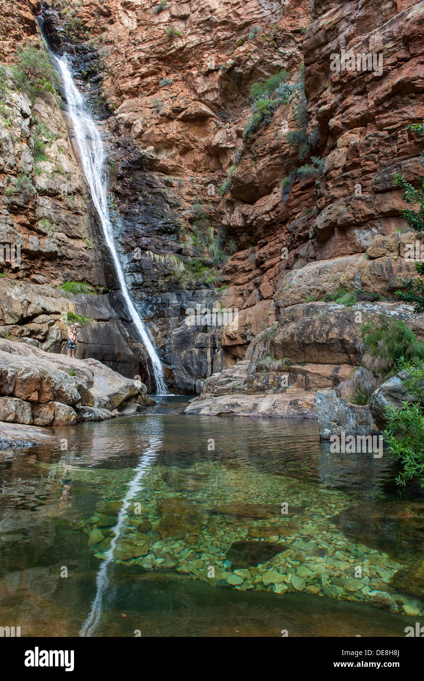 Alta cascata cade una rupe in un pool, Swartberg mountain range, Western Cape, Sud Africa Foto Stock