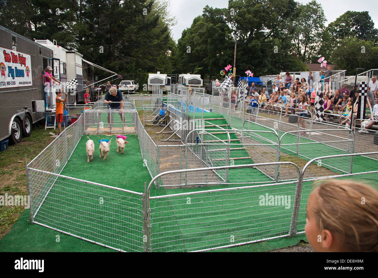 Chatham, New York - le Sue Wee gare di maiale alla Columbia County Fair. Foto Stock