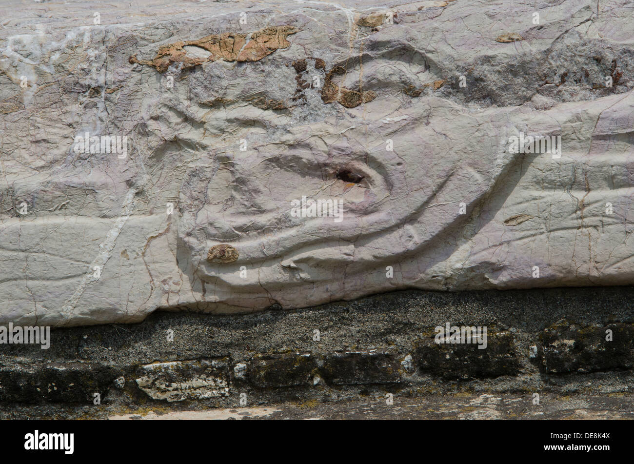 Sollievo che mostra una testa di serpente figura presso la zona archeologica del sito della Grande Piramide di Cholula, Puebla Foto Stock