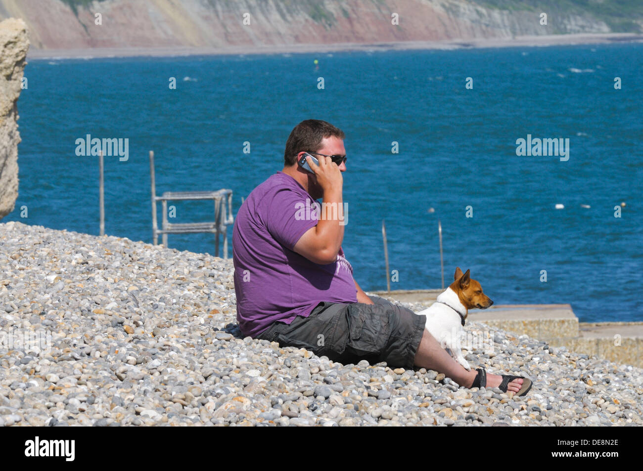 Uomo al cellulare con il cane sulla spiaggia di birra Devon England Foto Stock