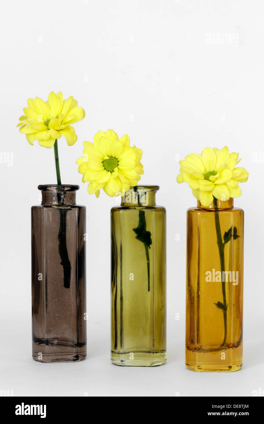 Tre bottiglie con fiori in Foto Stock