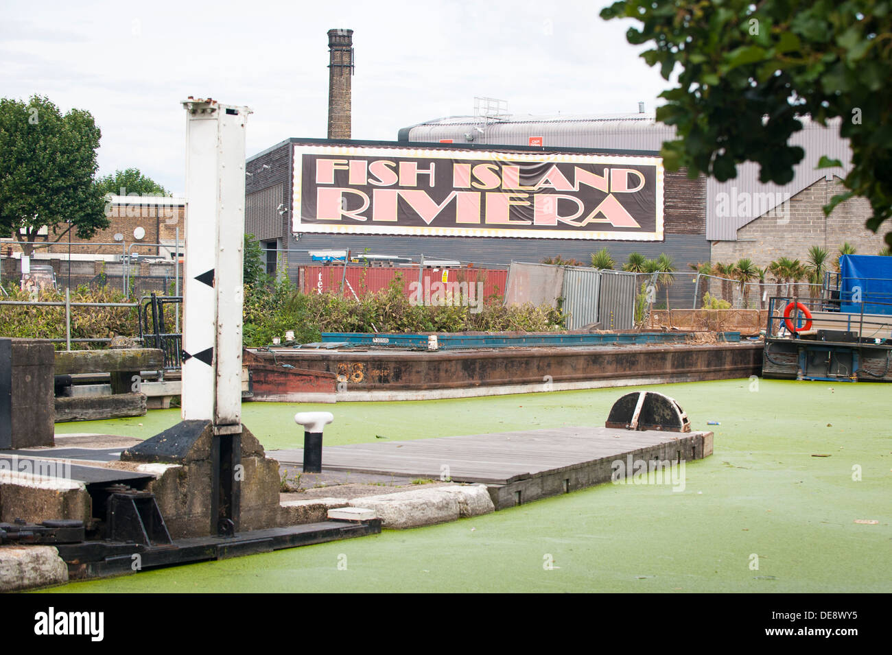 East End di Londra Isola di pesce Riviera Hackney Wick tagliato Fiume Lee Old Ford Lock n. 19 Hertford Union Canal alga di alghe galleggianti nel cestino della spazzatura inquinamento Foto Stock