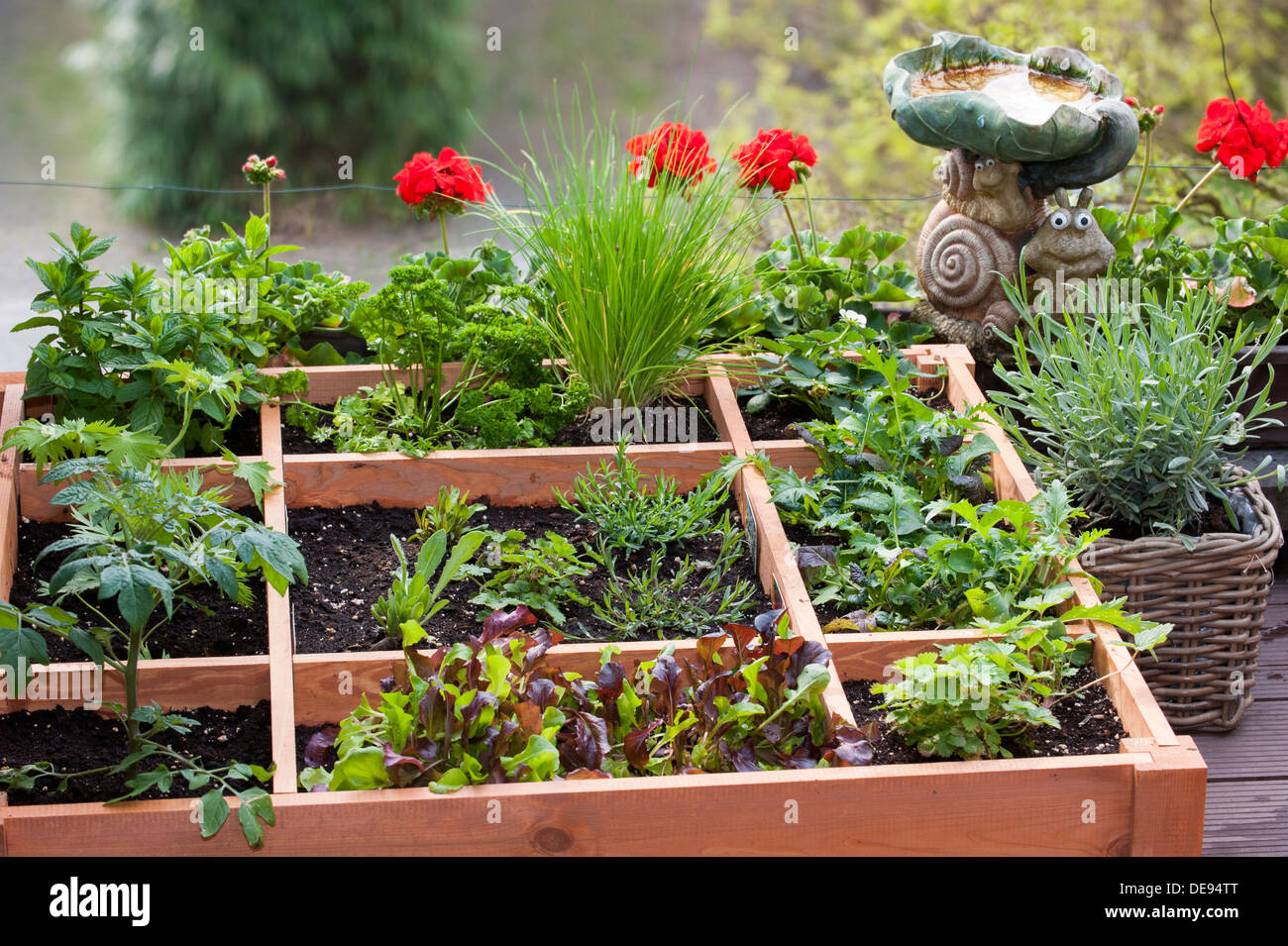 Piedi quadrati di giardinaggio da piantare fiori, erbe e verdure in scatola di legno sul balcone Foto Stock