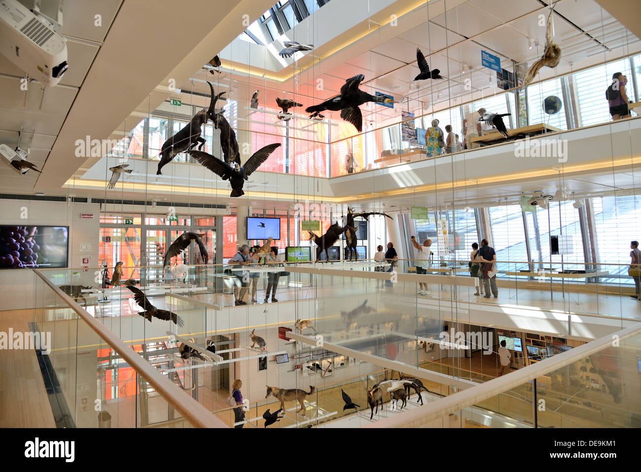 TRENTO, Italia- agosto 6: La Musa, il museo interattivo progettato dall architetto Renzo Piano, è stato inaugurato il 23 luglio 2013. Foto Stock