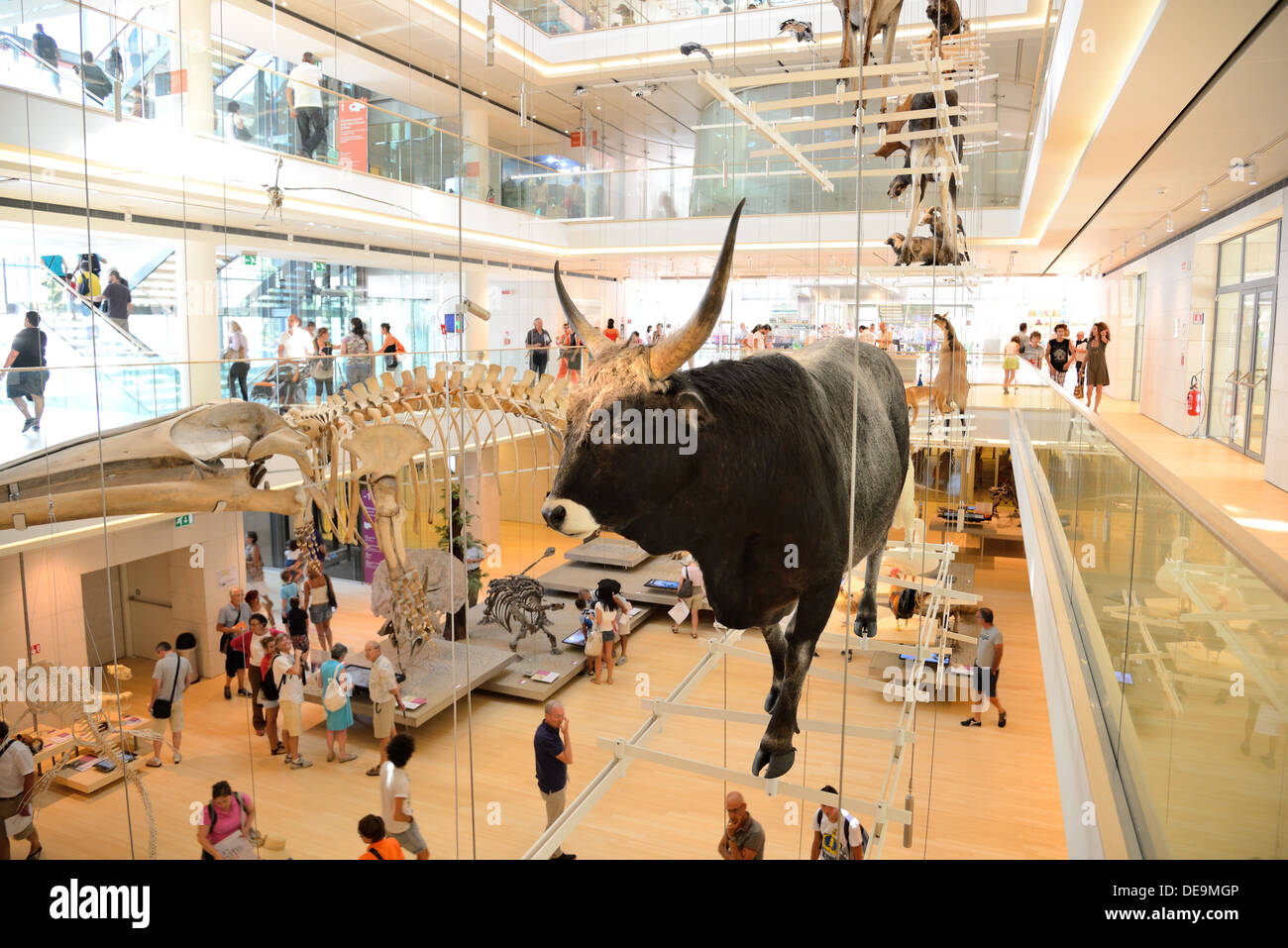 TRENTO, Italia- agosto 6: La Musa, il museo interattivo progettato dall architetto Renzo Piano, è stato inaugurato il 23 luglio 2013. Foto Stock