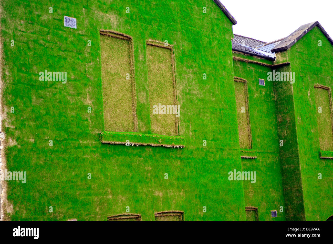 Ebrington Square, Derry, Londonderry, Irlanda del Nord, Regno Unito, 14 Sett. 2013. Un edificio storico e ex esercito britannico sposato trimestri è stata trasformata in una temporanea installazione d arte. Il dark facade di Cunningham edificio in Piazza Ebrington è stato ricoperto da milioni di sementi di erba da artista Dan Harvey e il suo partner Heather Ackroyd al numero. L'installazione, parte della città del Regno Unito la cultura del progetto, è aperta al pubblico dal 15 settembre al 27 ottobre 2013. Credito: George Sweeney / Alamy Live News. Credito: George Sweeney / Alamy Live News Foto Stock