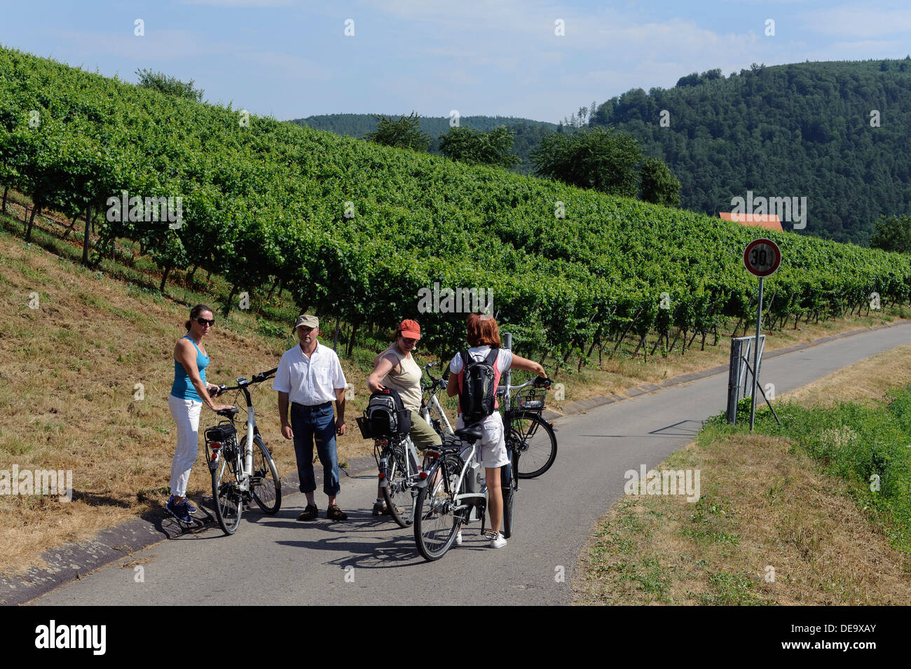 I turisti su E-bikes, Franconia vino rosso sentiero escursionistico nei vigneti di Buergstadt, Bavaraia, Germania Foto Stock