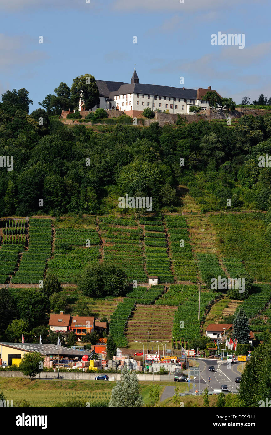 Visualizzare Kleinheubach verso Grossheubach e monastero di Engelberg, fiume Main, Baviera, Germania Foto Stock