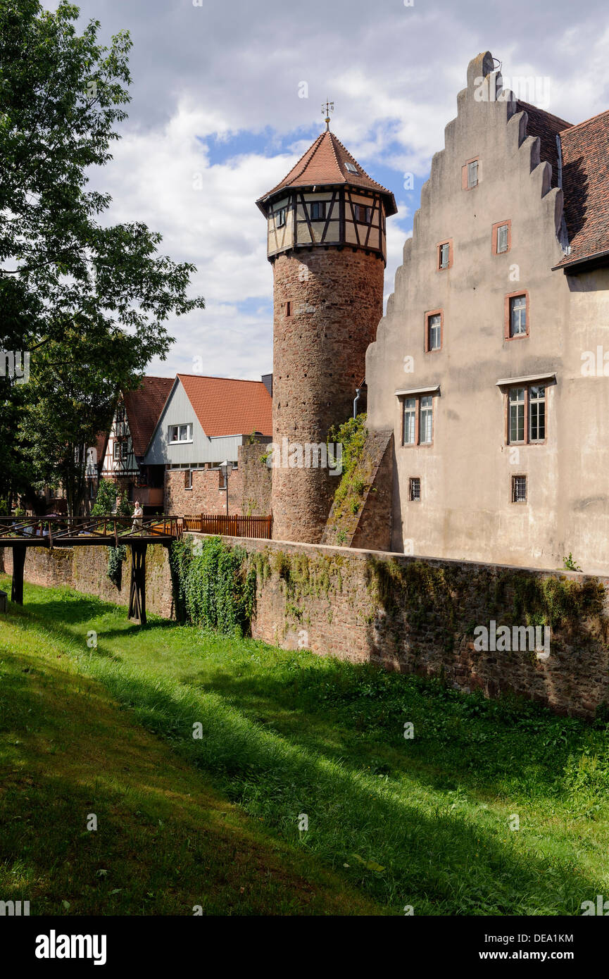 Diebsturm (Torre di ladri) e castello di Michelstadt , Foresta di odi, Hesse, Germania Foto Stock