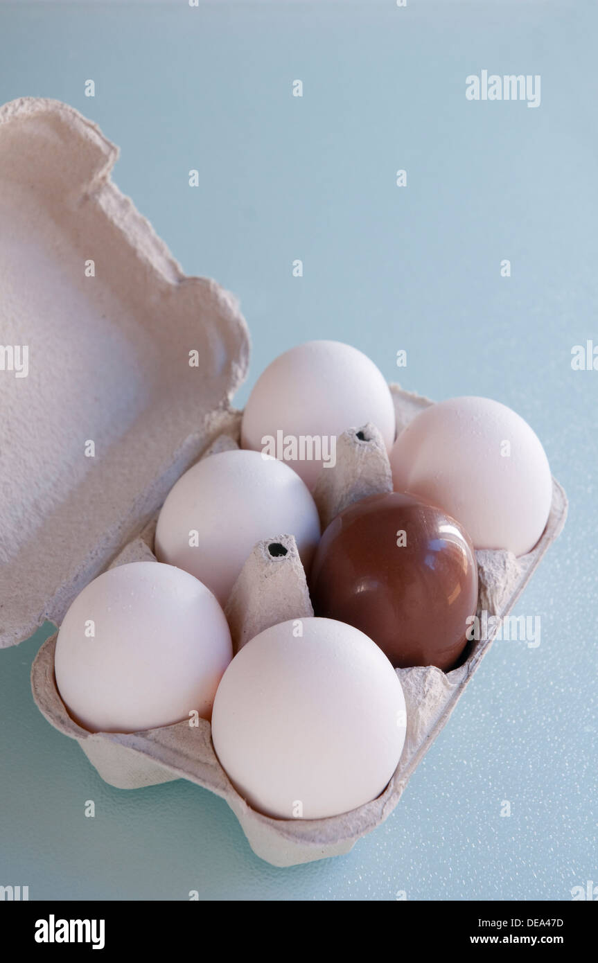 Una mezza dozzina di uova: cinque uova di colore bianco e un cioccolato uno. Foto Stock