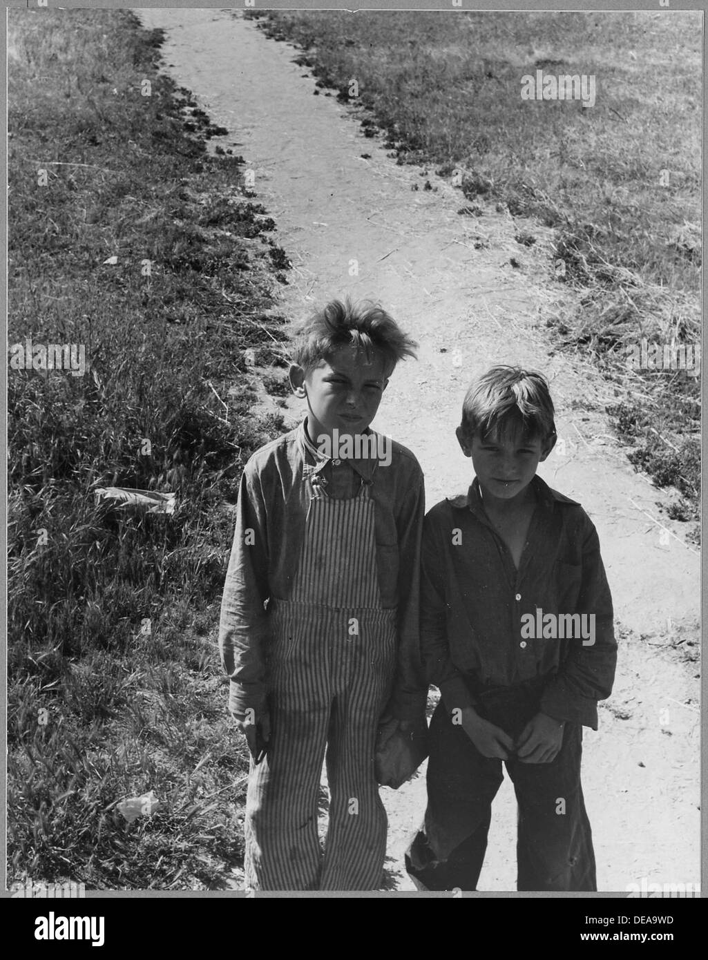 I ragazzi si recano a scuola la mattina vicino all'aeroporto di Modesto, Stanislaus County, California, dove vengono mostrati la vita rurale e la routine quotidiana della comunità. Foto Stock