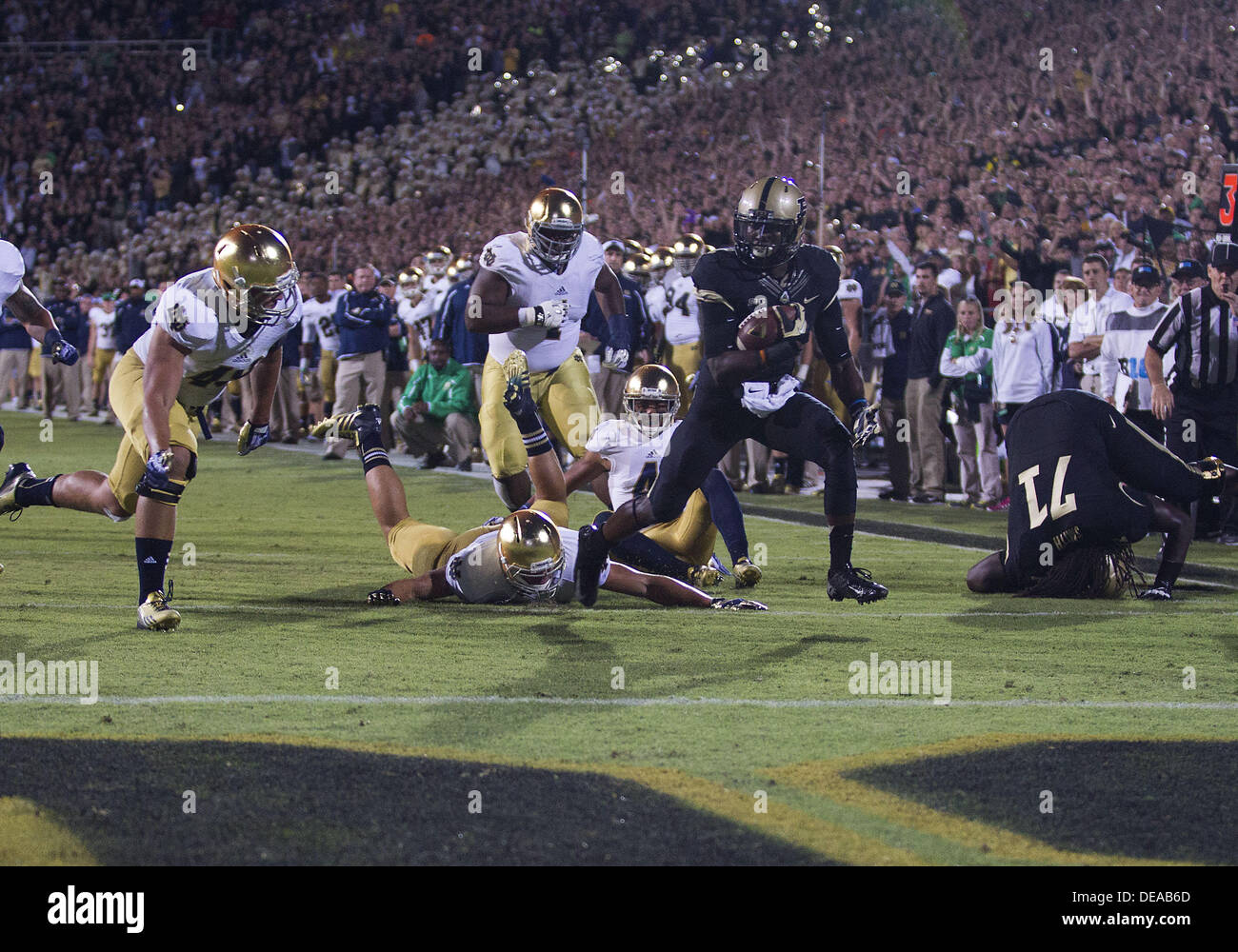 Sett. 14, 2013 - West Lafayette, Indiana, Stati Uniti d'America - 14 Settembre 2013: Purdue running back Akeem Hunt (1) punteggi primo trimestre touchdown durante il NCAA Football azione di gioco tra la cattedrale di Notre Dame Fighting Irish e la Purdue Boilermakers a Ross-Ade Stadium in West Lafayette, Indiana. Notre Dame sconfitto Purdue 31-24. Foto Stock