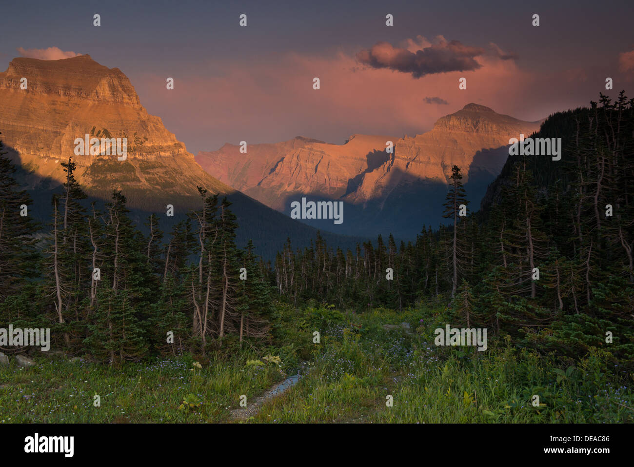 Fotografia del Cielo di tramonto sopra la Basilica di Santa Maria della Valle di prese da Logan's Pass, nel Parco Nazionale di Glacier. Foto Stock