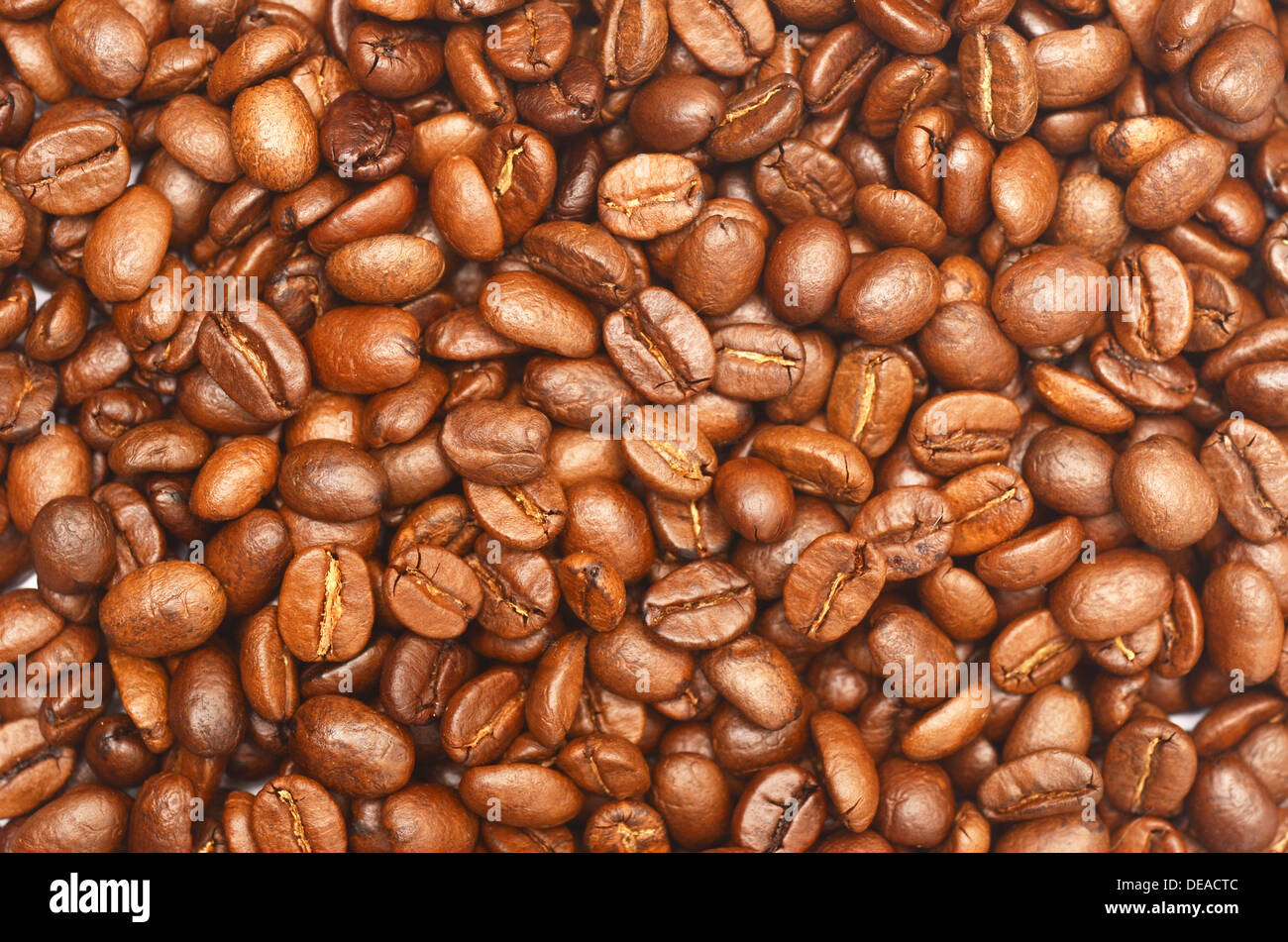 Sfondo di caffè Foto Stock