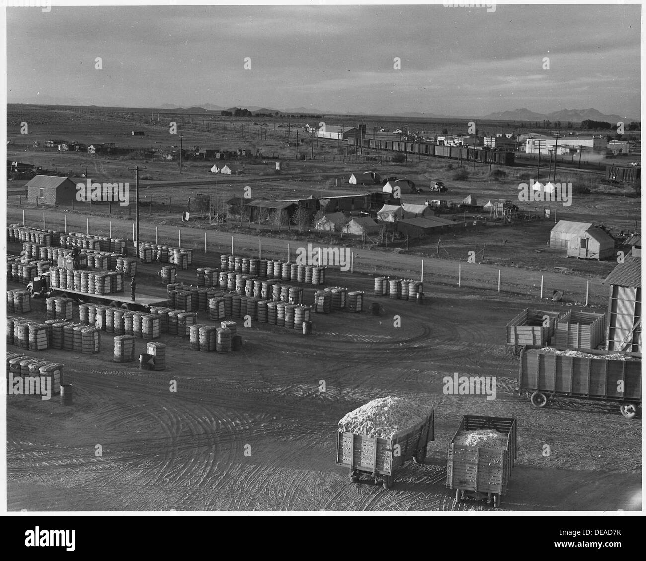 Una scena di Eloy, Arizona, che mostra un giardino di cotone, un campo di raccolta, campi di lattuga, un capannone e la strada principale, mettendo in evidenza il lavoro rurale e l'agricoltura. Foto Stock