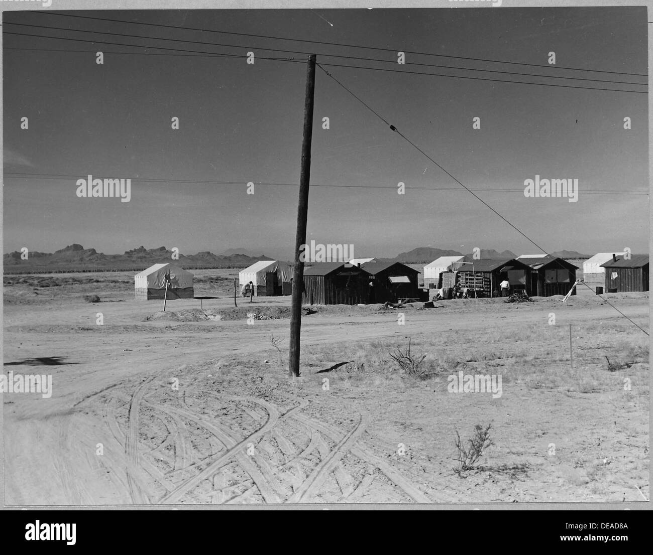 Eloy, Arizona, ospita un grande campo coltivatore per raccoglitori di cotone nella regione della contea di Pinal, parte dell'industria agricola della zona. Foto Stock