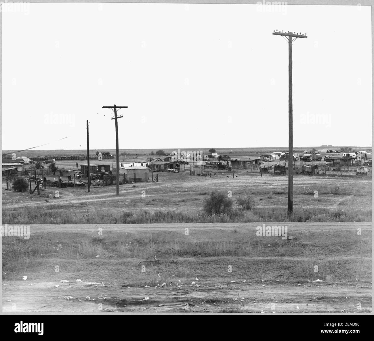 Un campo di raccolta di cotone si trova di fronte ai binari della ferrovia a Eloy, Pinal County, Arizona, uno sguardo sulla vita dei lavoratori migranti che lavorano nei campi di cotone del sud-ovest americano. Foto Stock
