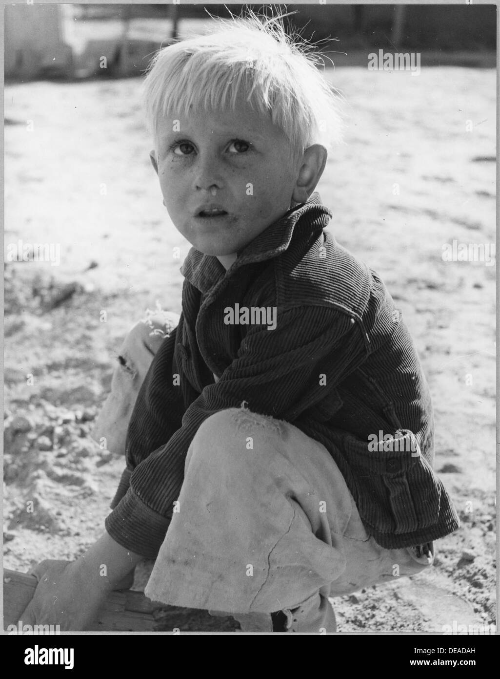 Un bambino viene mostrato in un campo di raccolta di cotone nel distretto di Eloy, Pinal County, Arizona, illustrando le dure realtà del lavoro agricolo per i lavoratori migranti durante l'inizio del XX secolo. Foto Stock