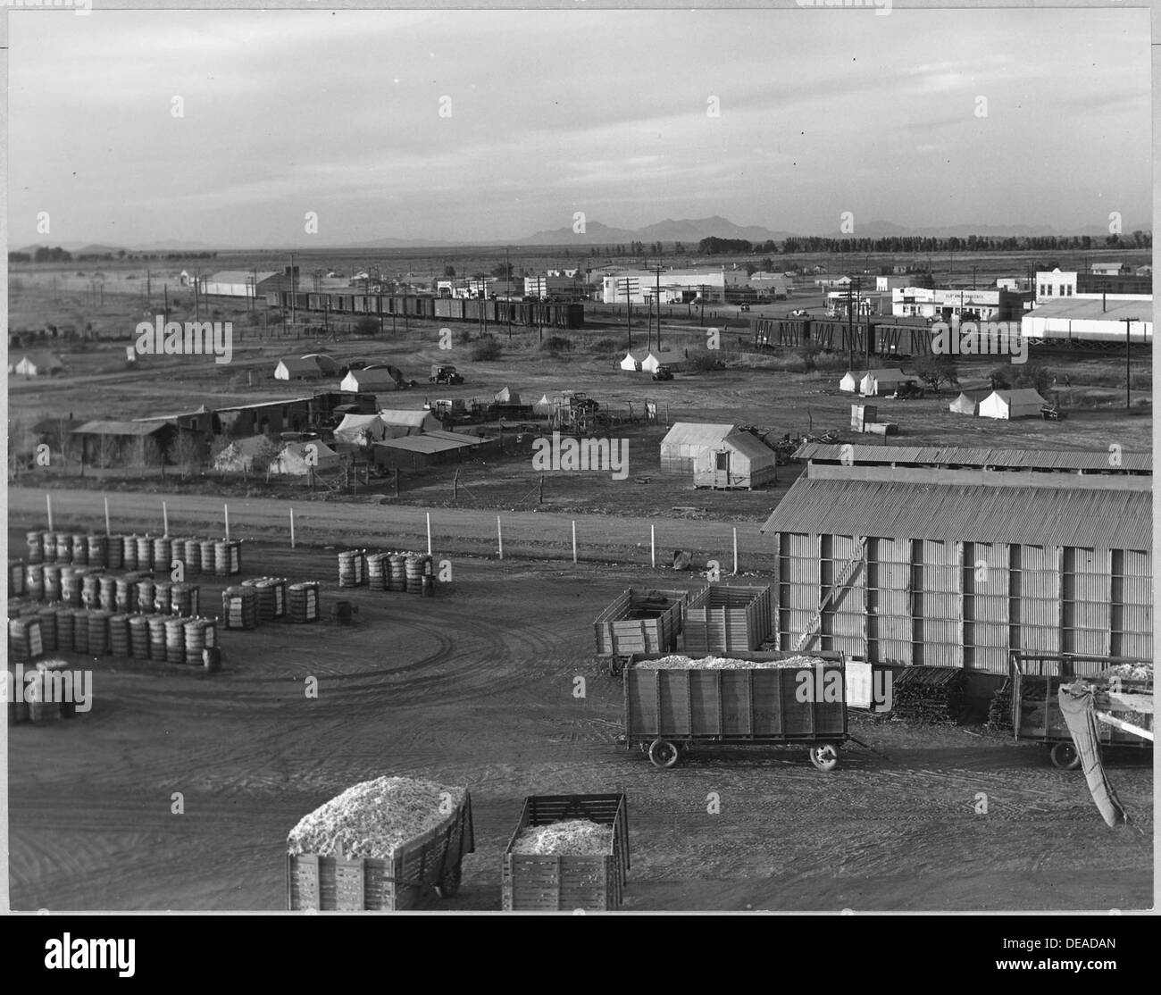 Un campo di raccolta per raccoglitori di cotone nel distretto di Eloy della contea di Pinal, Arizona, situato di fronte a un campo di ginnastica e lattuga, che rappresenta le condizioni di lavoro dei migranti nel XX secolo. Foto Stock