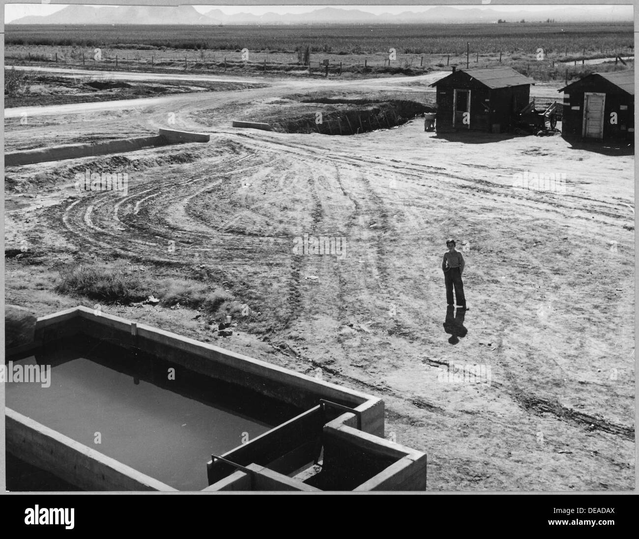 Fotografia dell'ingresso a un campo di cotone nel distretto di Eloy, Pinal County, Arizona, che mostra l'ambientazione del campo di lavoro. Foto Stock
