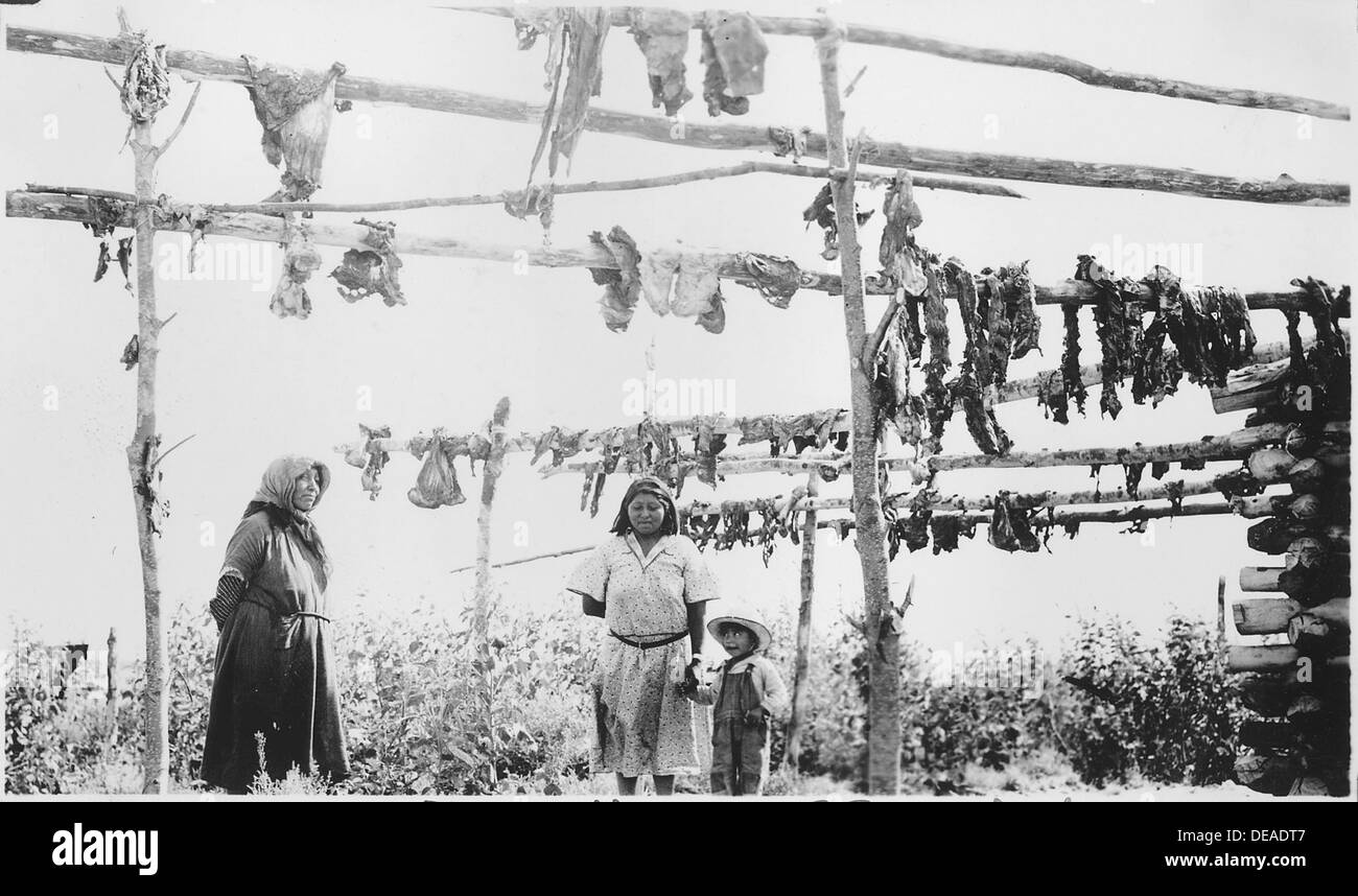 Questa immagine raffigura il processo di conversione del manzo fresco in manzo essiccato a Fort Hall. Il metodo fa parte della conservazione tradizionale del cibo, importante per sostenere la popolazione durante le stagioni più dure. Foto Stock