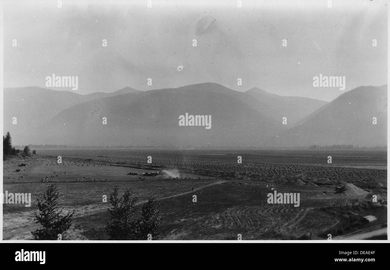 Raccolta del grano nel distretto di drenaggio n. 8 vicino a Port Hill, Idaho, con vista sui terreni agricoli e sulle attività agricole. Foto Stock
