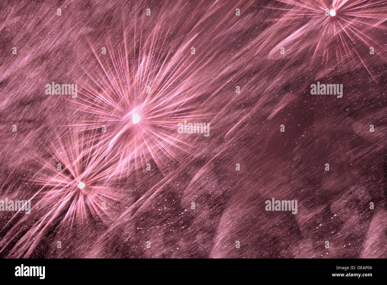 Violetta fuochi d'artificio nel cielo notturno Foto Stock