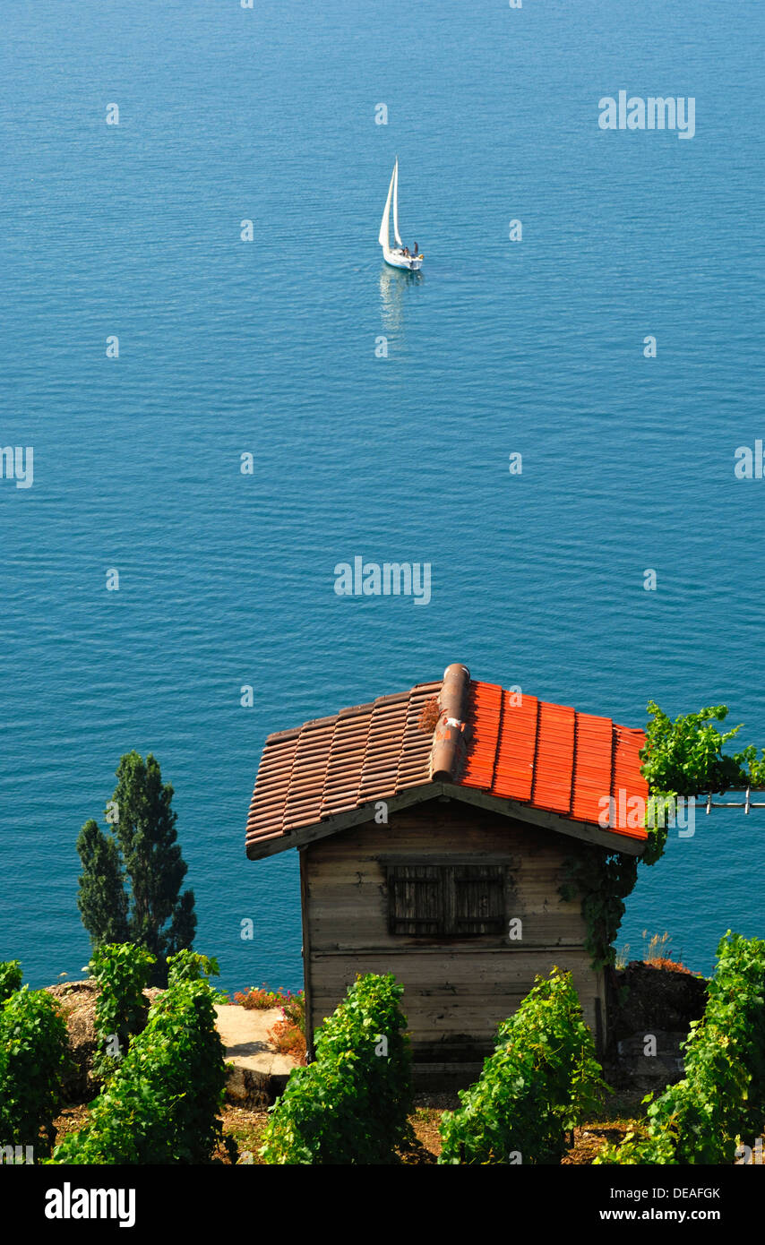 Cottage in Corseaux nei vigneti del Lavaux UNESCO Patrimonio Mondiale la regione del Lago di Ginevra, Vaud, Svizzera, Europa Foto Stock