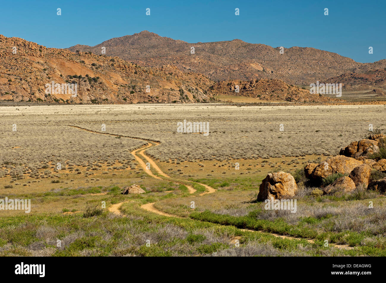 Sentiero per i veicoli fuori strada attraverso un paesaggio di steppa, Goegap Riserva Naturale, Springbok, Namaqualand, Capo Settentrionale Foto Stock