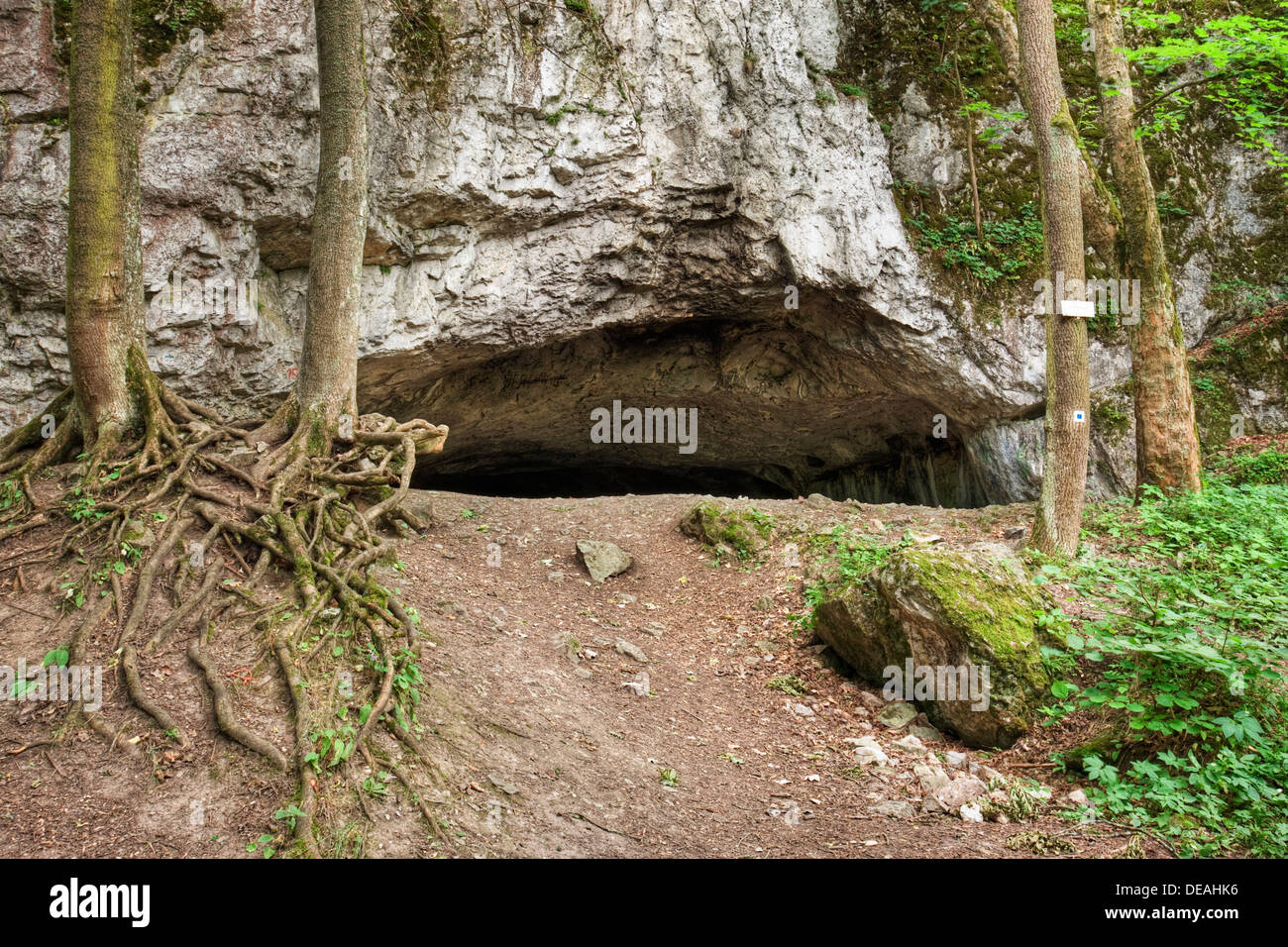 Pekarna grotta, nazionale monumento naturale, Moravsky Kras, Carso Moravo, regione Moravia del Sud, Repubblica Ceca, Europa Foto Stock