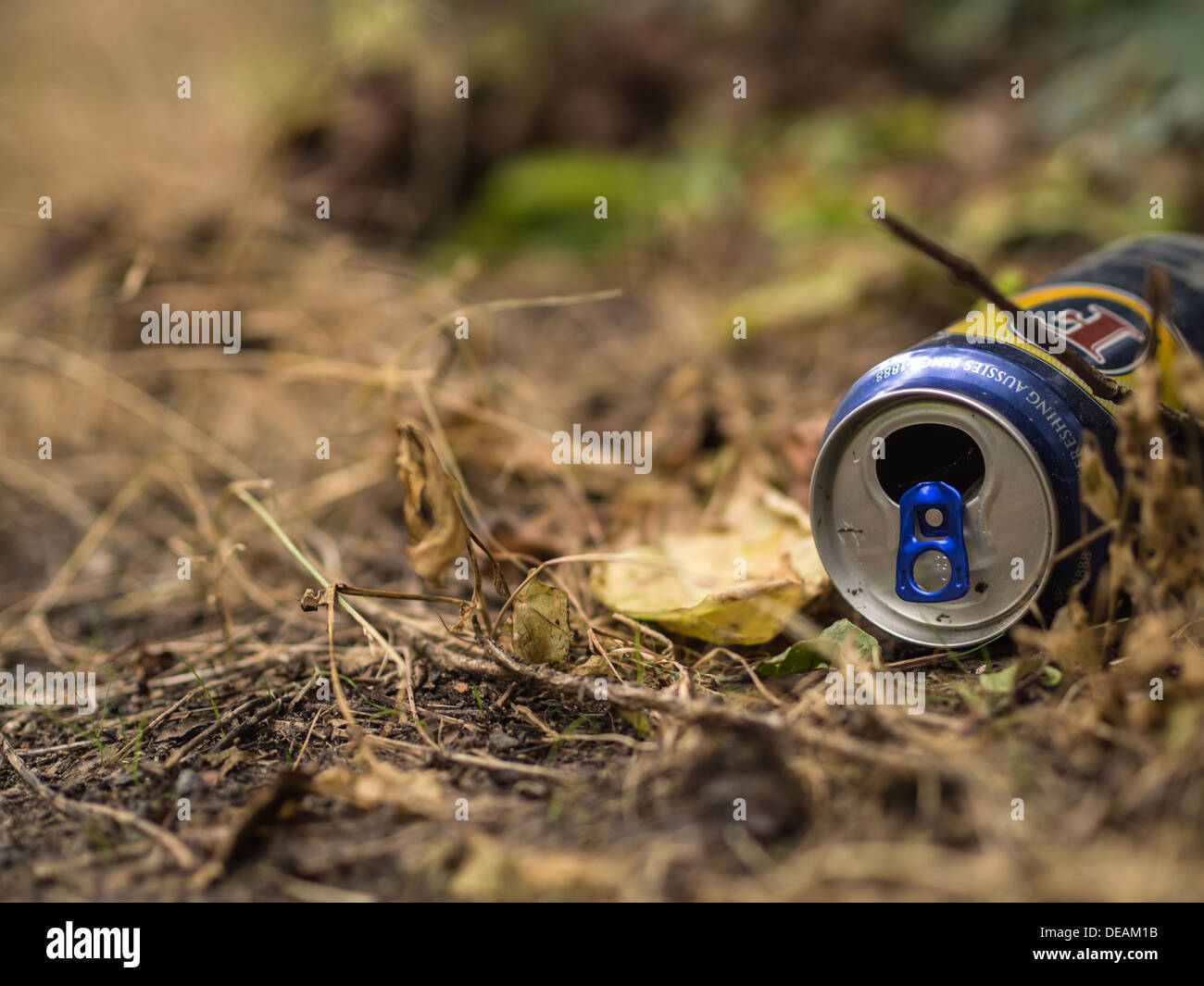 Scartare le bevande possono decora la campagna Foto Stock